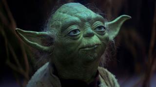 yoda2.jpg