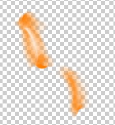 Clipboard2.jpg
