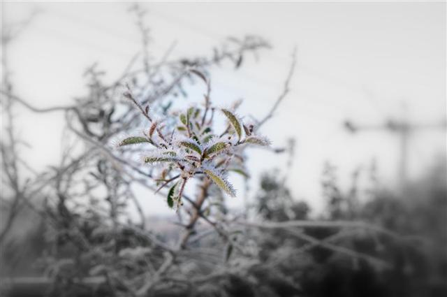 Frosty_Experiment__Large___Small_.jpg