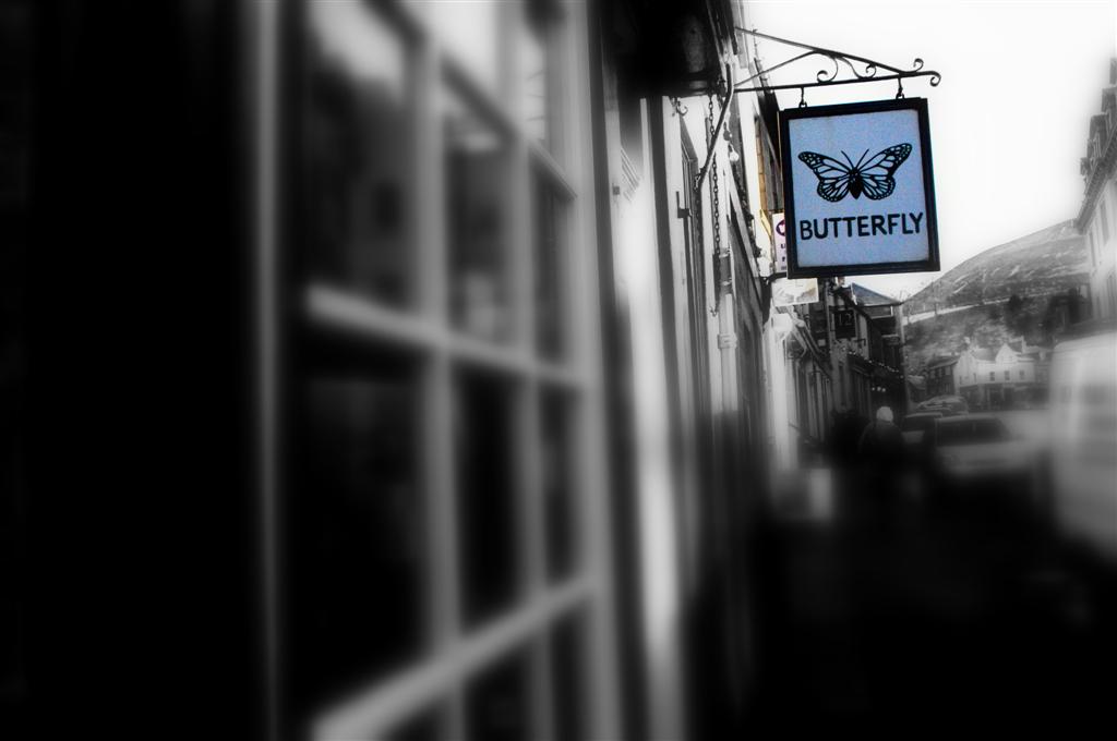 Butterfly_sign__Large_.jpg