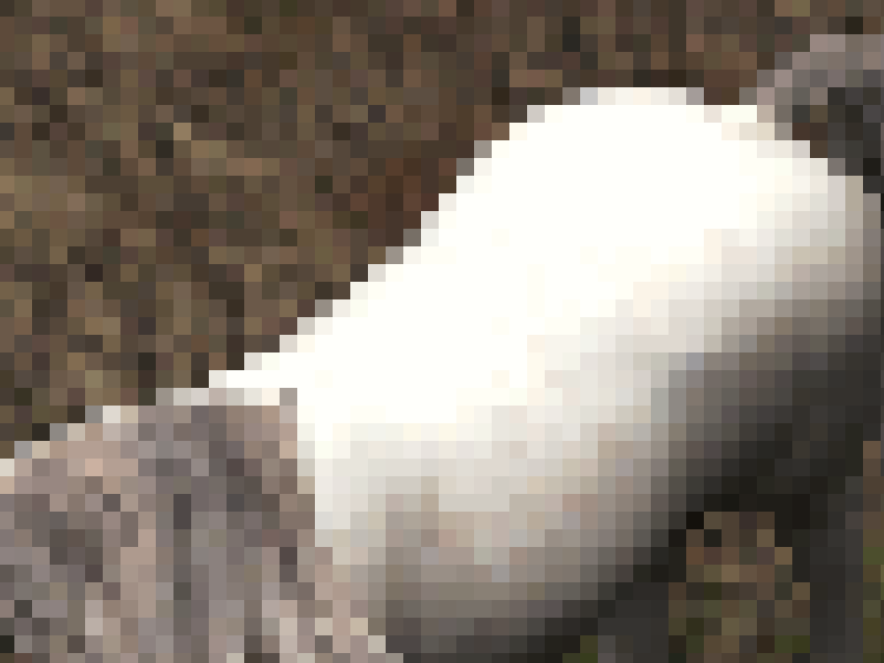 anim-sample-2.png