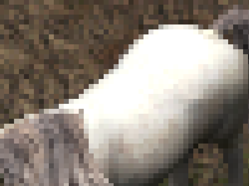 anim-sample-1.png