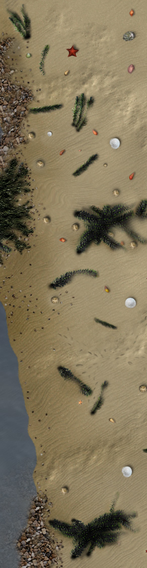 sand03.jpg