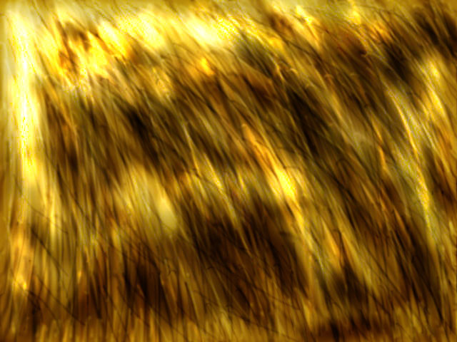 Untitled_1.jpg