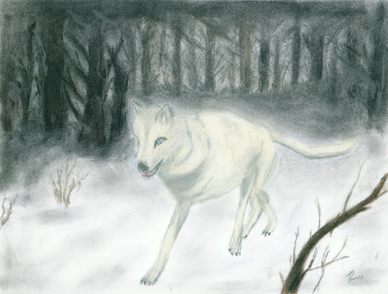Winter_Wolf_by_Silinde_Ar_Feiniel.jpg