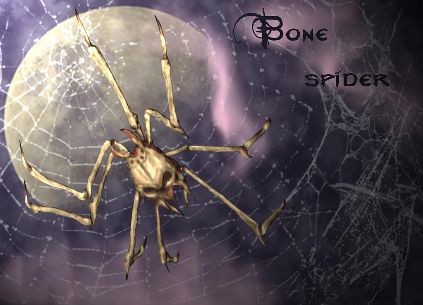 Bone_spider_SHS.JPG
