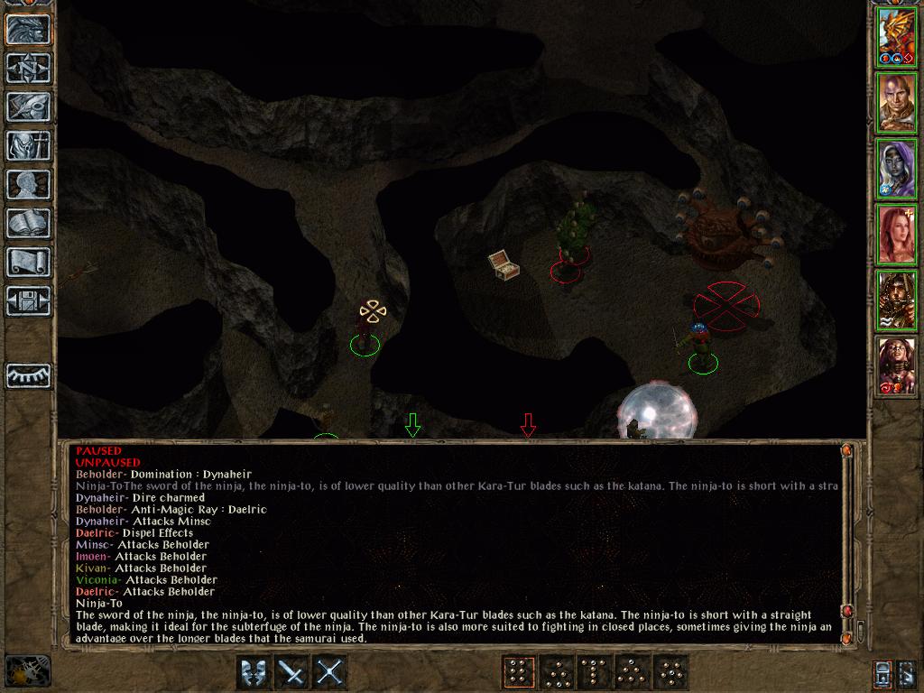 spectator_bug_1.JPG