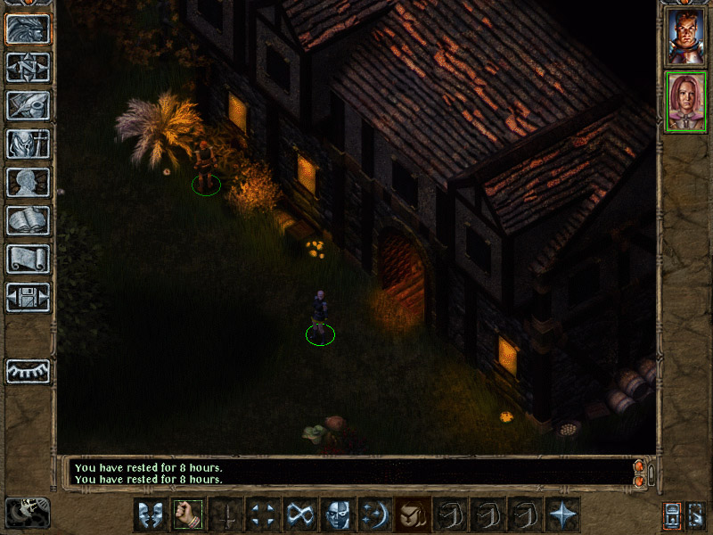 lioncragnight01.jpg