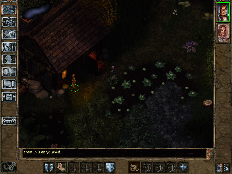 lioncragnight02.jpg
