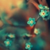 Elizavet's Photo
